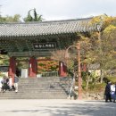 불국사 티스토리