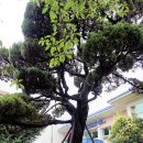 가락동행정복지센터 이미지