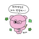 (주)세다온라인 이미지