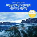 보천 이미지