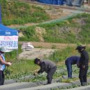 일죽면사무소 이미지