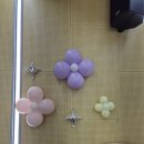 탑동초등학교 병설유치원 이미지