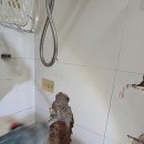 용당로 331번길 네이버블로그