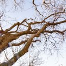 무릉1리경로당 이미지