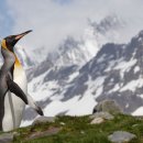 영국 남대서양에 있는 산이 많은 불모의 섬, 사우스조지아(South Georgia) 이미지