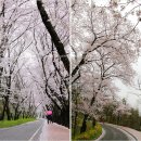 김유신장군로 이미지