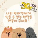 BG독케어센터 이미지