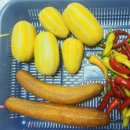 아주까리농장 이미지