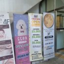 풀문왁싱 네이버블로그