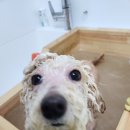 또또미용실 이미지