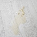 수원펫 동물병원 | 고양이 심장병 HCM 심장초음파 잘 보는 수원 동물병원 타임즈 검진 비용 금액과 후기