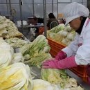 네보름영농조합법인 이미지