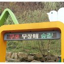 무장애숲 이미지