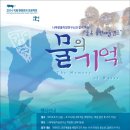 물의 기억 이미지