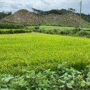 천안시북면위례보건진료소 이미지