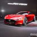 비전스포츠 이미지