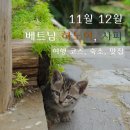 보석어묵 CAFE | 베트남 하노이 사파 11월 12월│사파 3박 4일 여행 코스, 숙소, 맛집 추천
