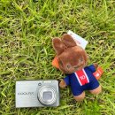 베로에소프레소 | [빈티지디카] 니콘 COOLPIX S600 작례포함 후기