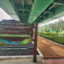 강서고등학교 정문 앞 횡단보도 | 안성 중앙대 정문앞 내리고가차도 아래 정원 그린인프라 확충사업 이용 후기 걸어보니 이런~!