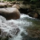 봉산민박 이미지