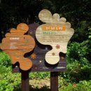 월평공원 습지길 이미지