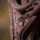 뱀사골민박 이미지