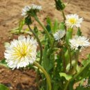 김가네농장 이미지