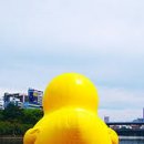오리궁댕이 - 성남시 중원구 은행동 | 오리궁댕이