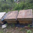 허니농장 이미지