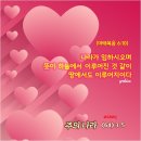 나라오이코스주 티스토리