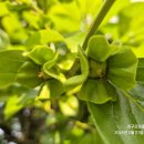 성진당구장 이미지