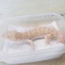 한성동물병원 이미지