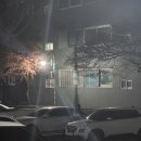 요일리 | 12월 끗 새해가 밝았어요