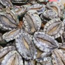 바다세상 이미지