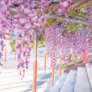 합도초등학교 이미지