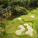 탑골프클럽 이미지