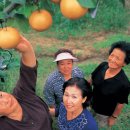 서리내농장 이미지