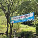 유창고을 네이버블로그