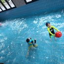 소르피아 양주 이미지