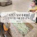 연이동물원 | 쥬벅스 인천 실내 동물원 8개월 아기랑 비 오는 날 눈 오는 날 가볼 만한 곳 추천