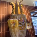 둥둥이김밥 | 26.03.16 ~ 26.03.22 일상