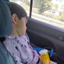 풀잎패밀리하우스 | 24.05.03~24.05.06 강원도 양양 여행, 르부르낙산 양양 3박4일