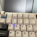 LOL 포로/비모 키캡 구매 후기