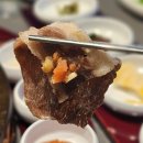 명품 갈매기 | [대전봉명동맛집 추천] 대전고기집 가성비 끝판왕 '부산갈매기 봉명점' 솔직 후기