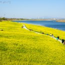스포츠파크 농구장 이미지