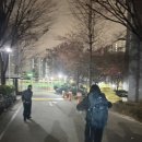 D00185 | D+1 | 비 오는 콜로세움 야간 관람 후기 | 로마, 이탈리아🇮🇹