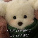 상아떡방앗간 | 초초초 예민이