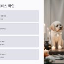 펫맘 | 처음이라면 꼭 확인해야 할 펫장례업체 선택 기준 6가지 (비용·후기·계약 포함)