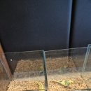 크레이쥬 이미지