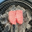 늘푸름목장 이미지